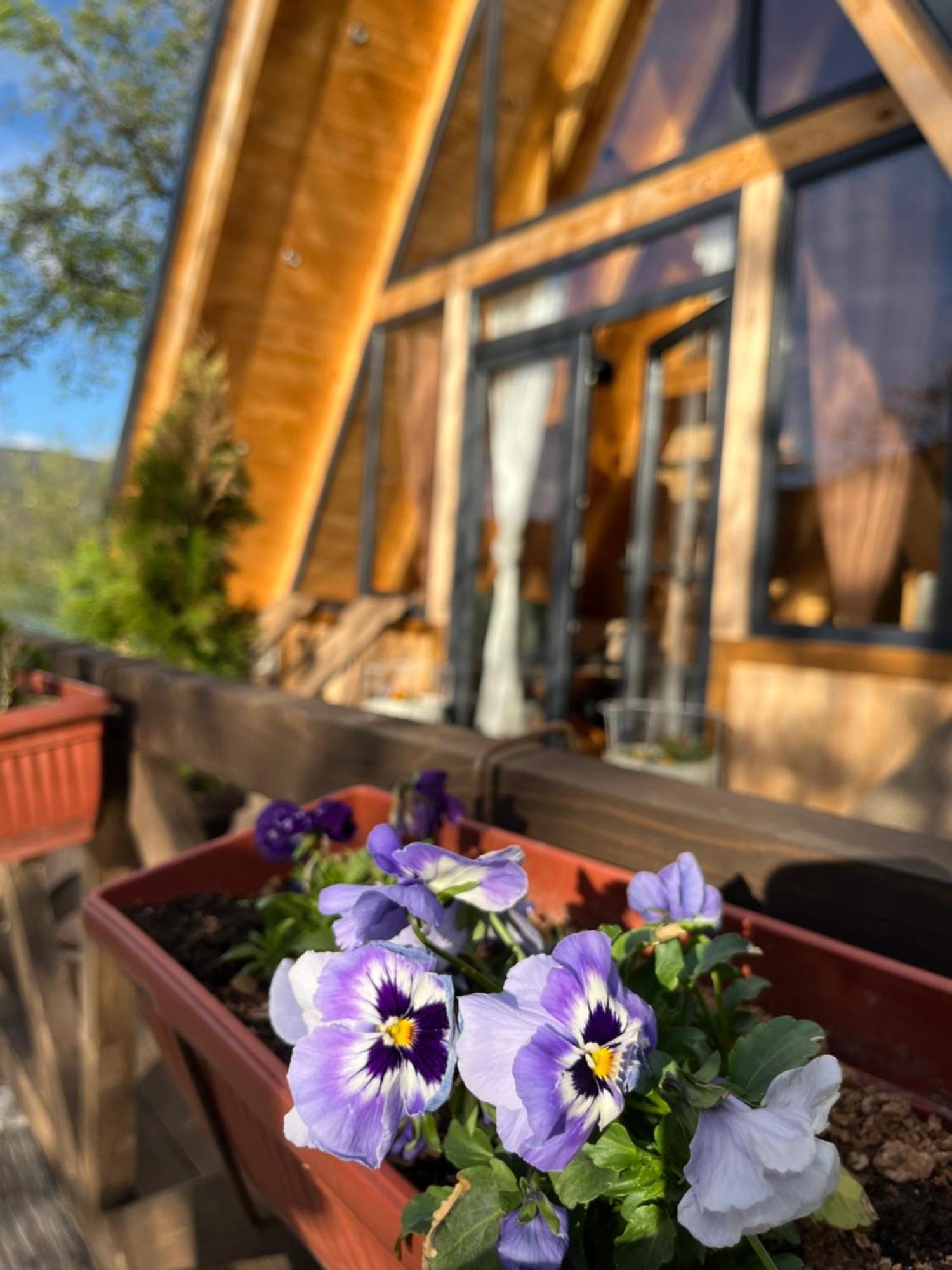 Vikendica - Rajski Poluotok Jajce Dış mekan fotoğraf